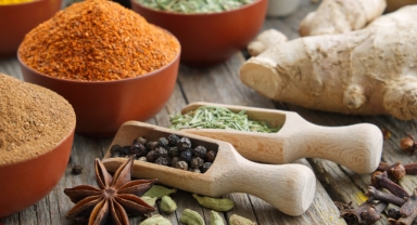 Tarım sektöründe çiftçi – ihracatçı iş birliği Türkiye’ye 36 milyar dolar döviz kazandırdı