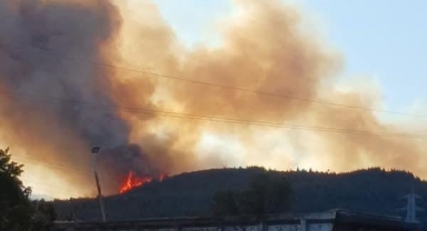 Aliağa'daki orman yangıyla ilgili 1 kişi tutuklandı!