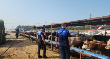 Çiğli’de kurban pazarlarına ve kesim noktalarına sıkı denetim