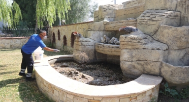 Efes Selçuk'ta kapsamlı ilaçlama seferberliği