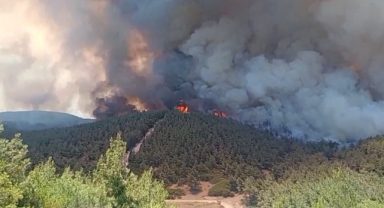 Foça'da orman yangınına havadan 11 uçakla müdahale!