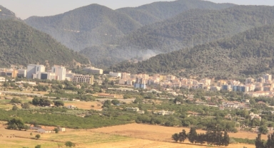 İzmir’de orman yangını: Müdahale sürüyor