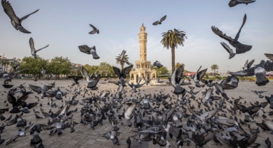 İzmir’in iklim eylemi çalışmaları Avrupa gündeminde