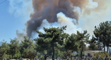 İzmir kabusu yaşıyor... Bir yangın da Bornova'da çıktı!