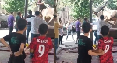 Kızgın boğa kabus yaşattı