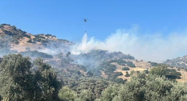 Aydın'ın 'Neron'larına gözaltı