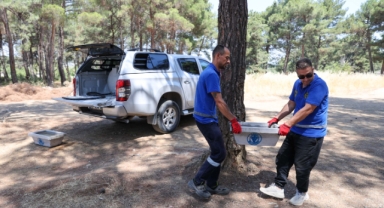 Buca Belediyesi’nden can dostları için hayati hamle