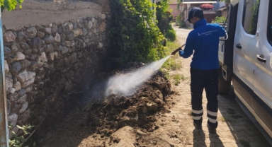 Büyükşehir'in ilaçlama ekipleri tüm ilçelerde!