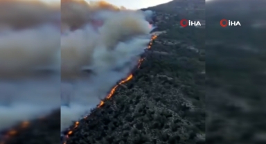 Girit Adası'nda orman yangını: 5 bin kişi tahliye edildi