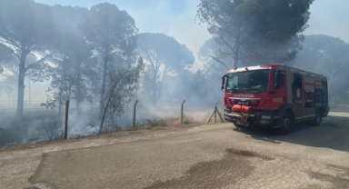 İzmir'de bir orman yangını daha!