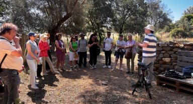 İzmir'in paklarında etkinlik var!