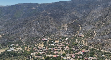 İzmir'in yangın raporu: 26 bin 260 hektarlık alan kül oldu!