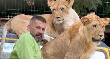 Kafesinden kaçıp çiftçiyi yaralamıştı... Aslanın sahibi konuştu: 'sosyal bir hayvandı'