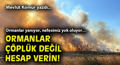 Ormanlar yanıyor, nefesimiz yok oluyor… Ormanlar çöplük değil, hesap verin!