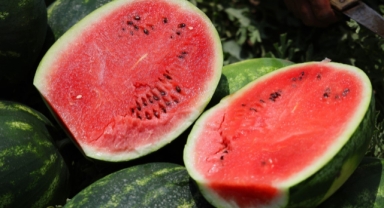 Sosyal medyadaki karpuz tartışmalarına Adana’dan cevap