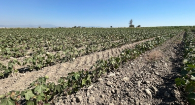 Tarımsal sulama suyu krizi giderek büyüyor