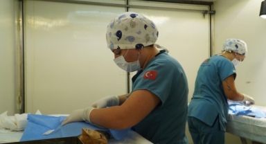 7 bin kediye mobil kısırlaştırmam