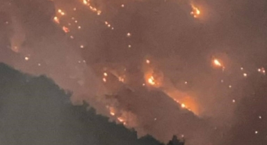 Buldan’da başlayan yangın Aydın’ın bazı mahallerine ulaştı