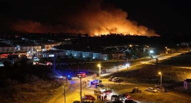 Edirne'de orman yangını: Alevlerin evlere sıçramasına ramak kaldı