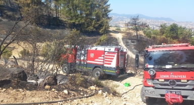 İzmir'in iki ilçesinde çıkan yangınlar kontrol altına alındı