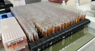 İzmir kan bağışında ülke ortalamasının üstünde!