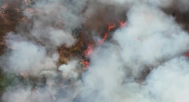 Kocaeli’de orman yangınına havadan ve karadan müdahale: Alevler evlere de sıçradı