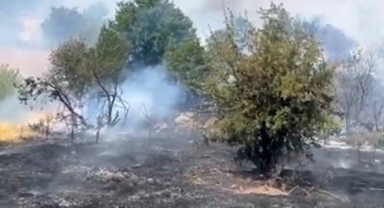 Malatya’da orman yangını