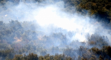 Mudanya’da korkutan yangın