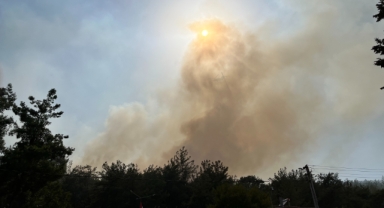 Orman yangınının sebebi yine 'kaynak makinesi'