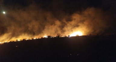 Otluk alanda çıkan yangın ormana sıçradı!