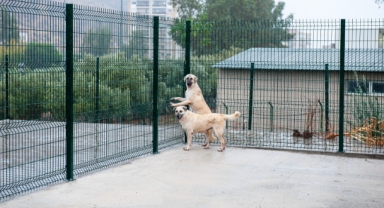 Bakioğlu Can Dostlarımız Yaşam Merkezi ve Bakımevi açılıyor!