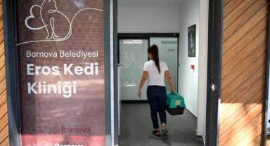 Eros Kedi Kliniği yoğun ilgi görüyor