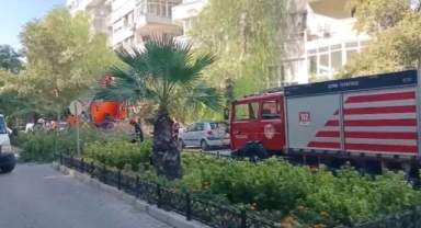 İzmir’de ağaç park halindeki otomobillerin üzerine devrildi