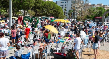 Küçüklerden büyük dayanışma