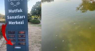 Survivor değil Karşıyaka'da sıradan bir park! 'Yaşamak bir mucize'