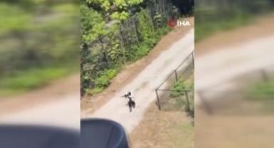 Üniversitede silahlı saldırgan paniği!