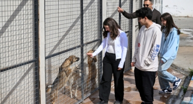 Bornova’da üniversite öğrencilerinden can dostlar için destek