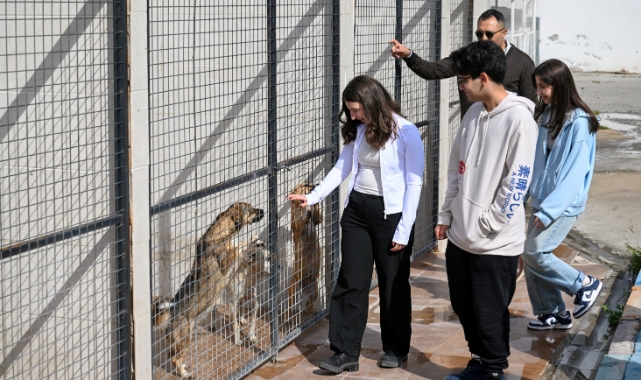 Bornova’da üniversite öğrencilerinden can dostlar için destek
