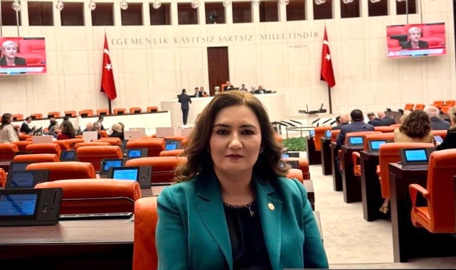 CHP’li Sevda Erdan Kılıç: