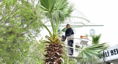 Çiğli’de sonbahar bakımı