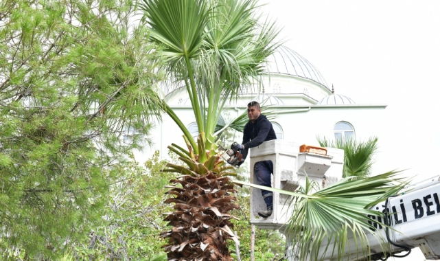 Çiğli’de sonbahar bakımı