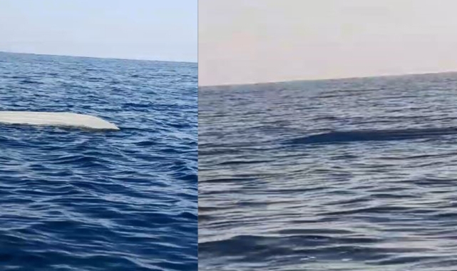 Karadeniz kıyılarında bir insansız deniz aracı şüphesi daha!