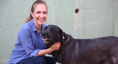 Karşıyaka’da can dostlar için 25 ton mama toplandı