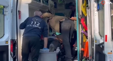 Kestane kavgası kana bulandı!