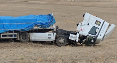 Şarampole yuvarlandı... Burnu bile kanamadan kurtuldu!