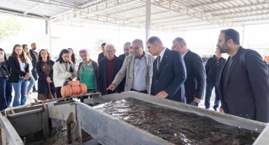 Sezonun ilk zeytinyağı Başkan Tugay’dan!