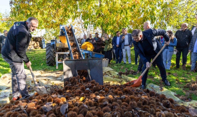 Başkan Tugay kestane üreticileriyle buluştu... Gözümüz gibi korumamız gerek!
