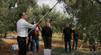 Çağatay GÜÇ: CHP İKTİDARIMIZDA ZEYTİNCİLİK HAK ETTİĞİ DEĞERİ GÖRECEK