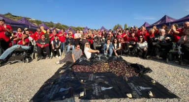 Engelli yurttaşlar ve yakınları zeytin hasadında buluştu
