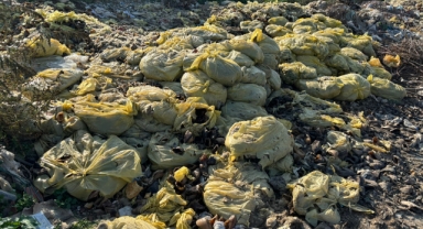 Kemalpaşa’da şok eden görüntüler… Poşet poşet hayvan boynuzu ve ayağı!